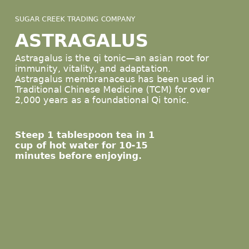 Astragalus
