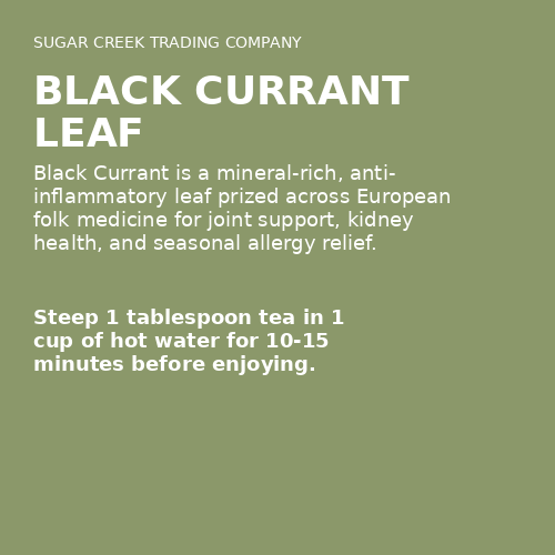 Black Currant Leaf