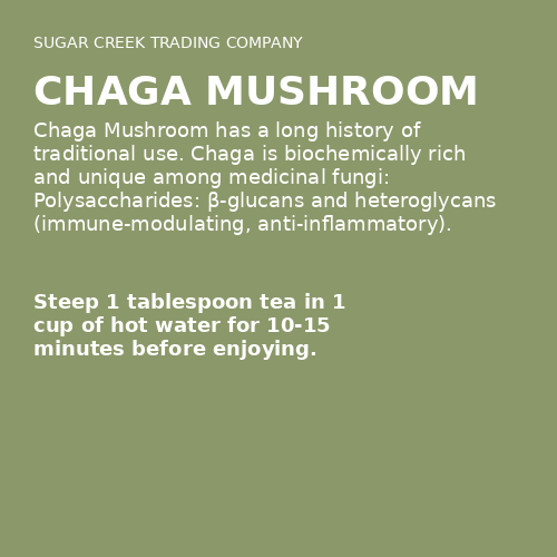 Chaga Mushroom