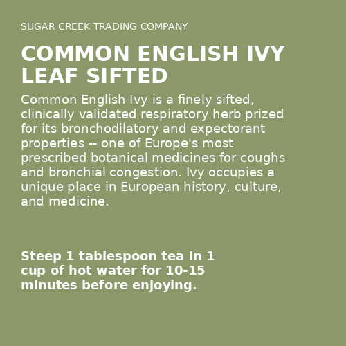 Common English Ivy Leaf Sifted