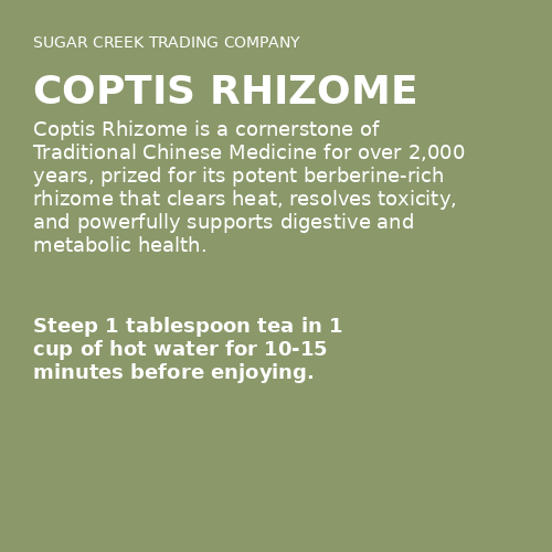 Coptis Rhizome
