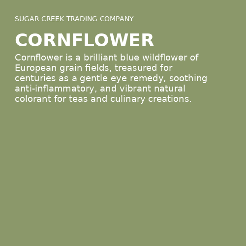Cornflower