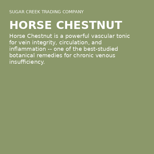 Horse Chestnut