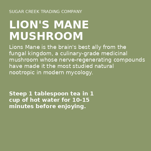 Lion's Mane Mushroom