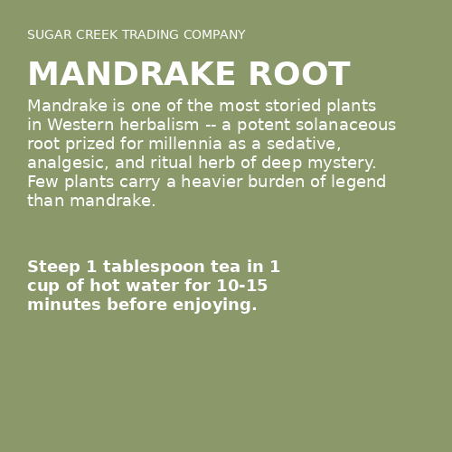 Mandrake Root