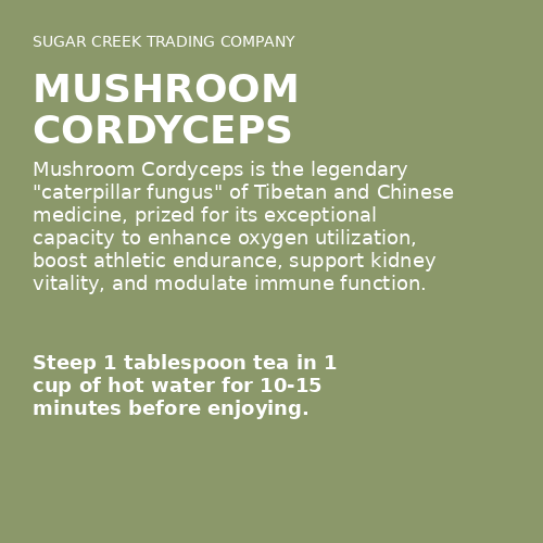 Mushroom Cordyceps