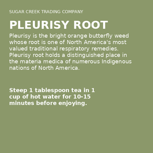 Pleurisy Root