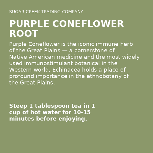 Purple Coneflower Root