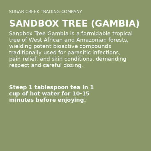 Sandbox Tree (Gambia)