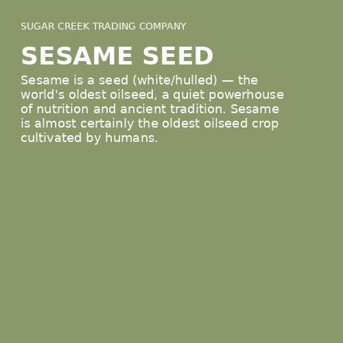 Sesame Seed