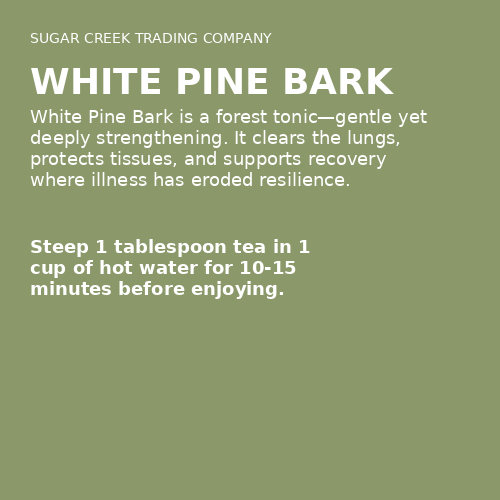 White Pine Bark