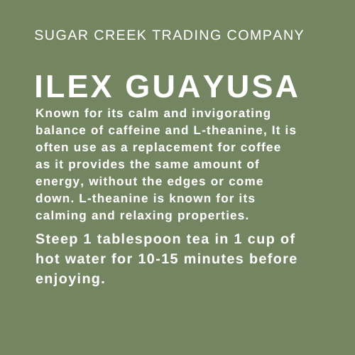 Ilex Guayusa Powder