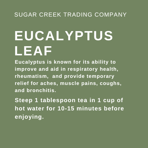 Eucalyptus Leaf