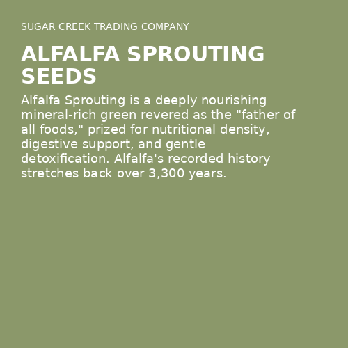 Alfalfa Sprouting Seeds