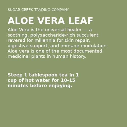 Aloe Vera Leaf