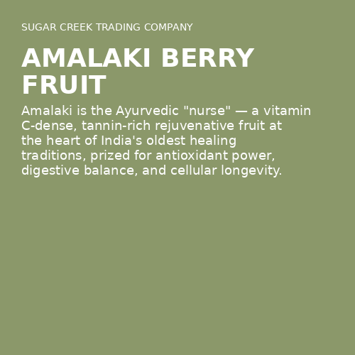 Amalaki Berry Fruit