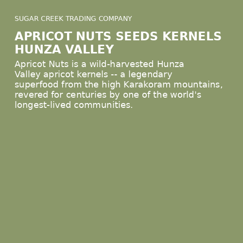 Apricot Nuts Seeds Kernels Hunza Valley