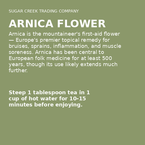 Arnica Flower