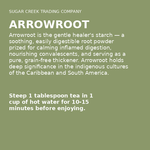 Arrowroot