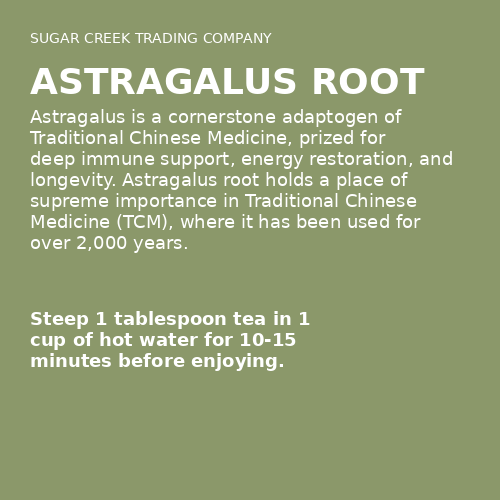 Astragalus Root