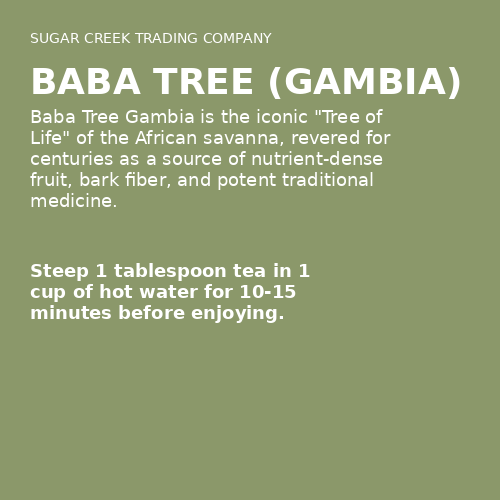 Baba Tree (Gambia)