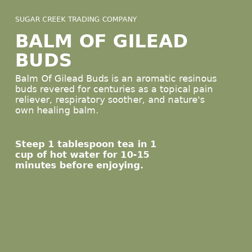 Balm Of Gilead Buds