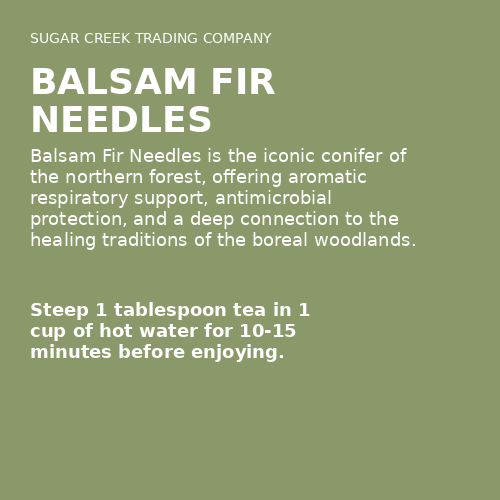 Balsam Fir Needles
