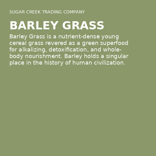 Barley Grass