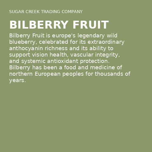 Bilberry Fruit