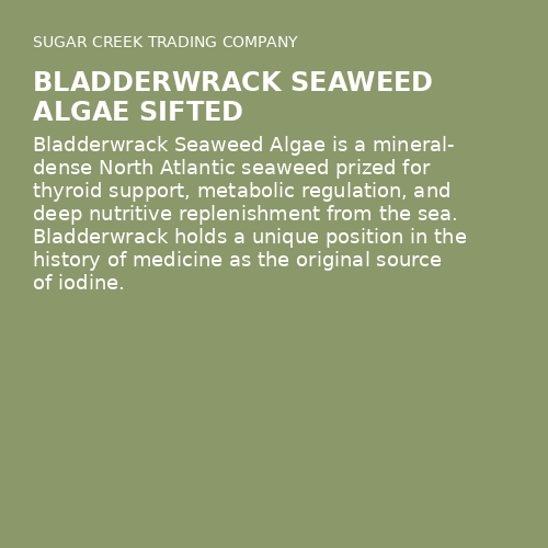 Bladderwrack Seaweed Algae Sifted