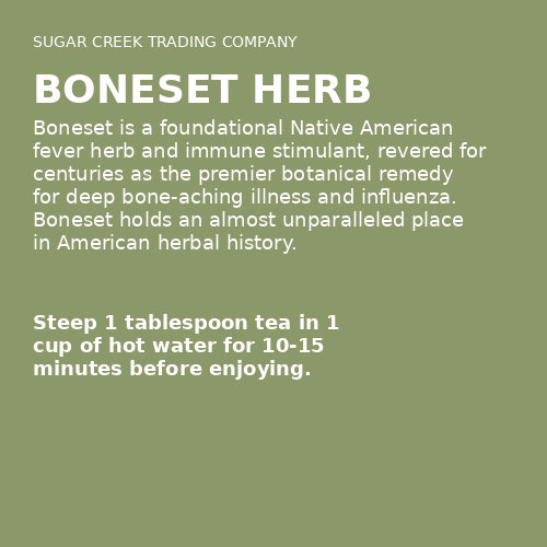 Boneset Herb