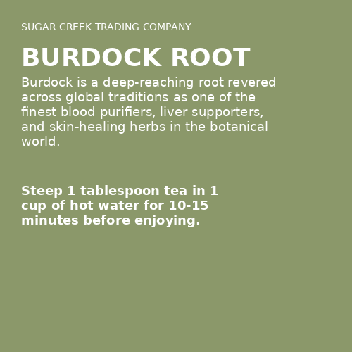 Burdock Root