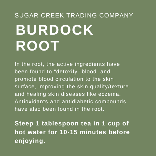 Burdock Root