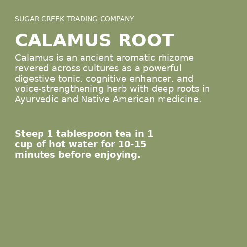 Calamus Root