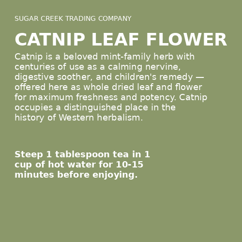 Catnip Leaf Flower
