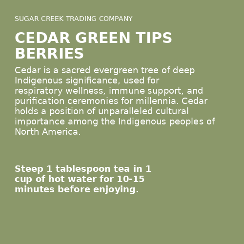 Cedar Green Tips Berries