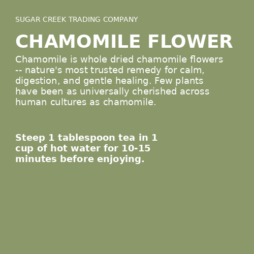 Chamomile Flower