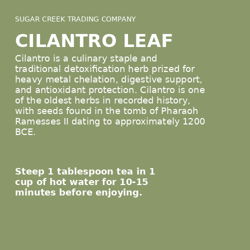 Cilantro Leaf