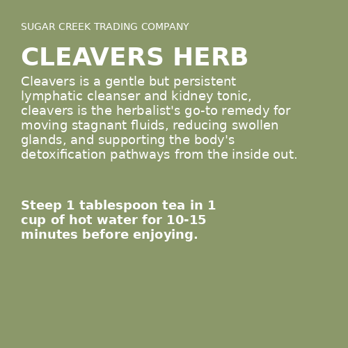 Cleavers Herb