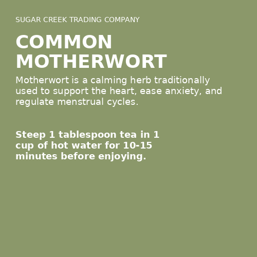 Common Motherwort
