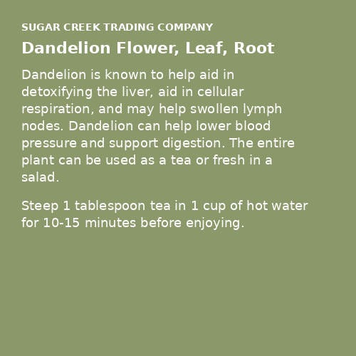 Dandelion Flower, Leaf, Root