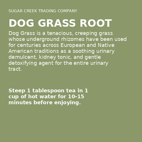Dog Grass Root