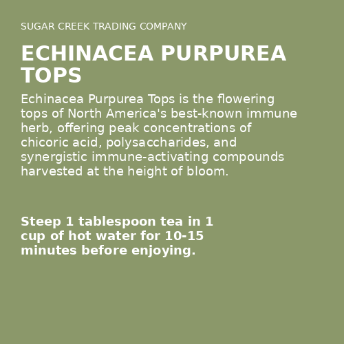 Echinacea Purpurea Tops