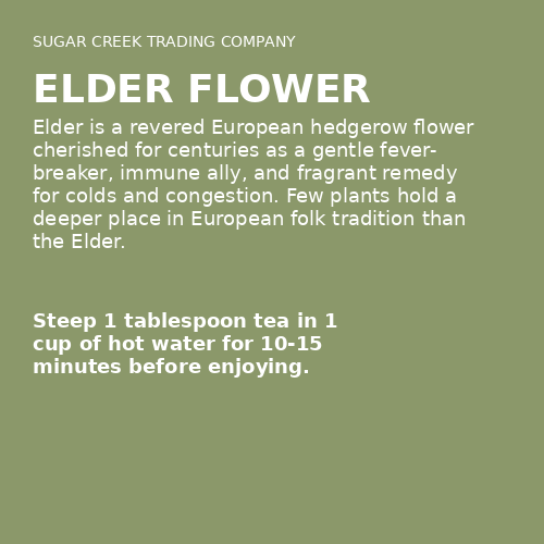Elder Flower