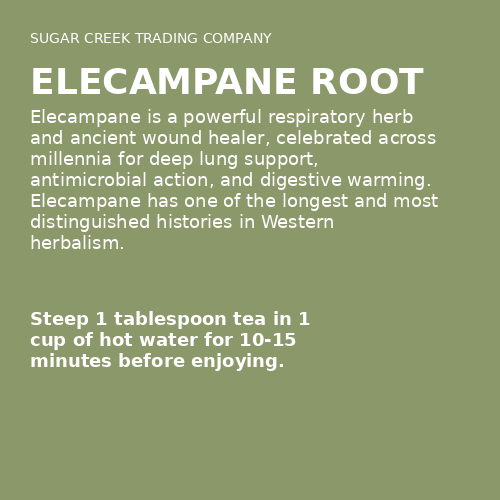 Elecampane Root
