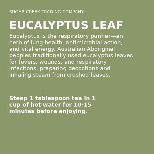 Eucalyptus Leaf