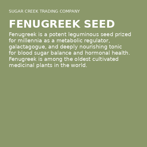 Fenugreek Seed