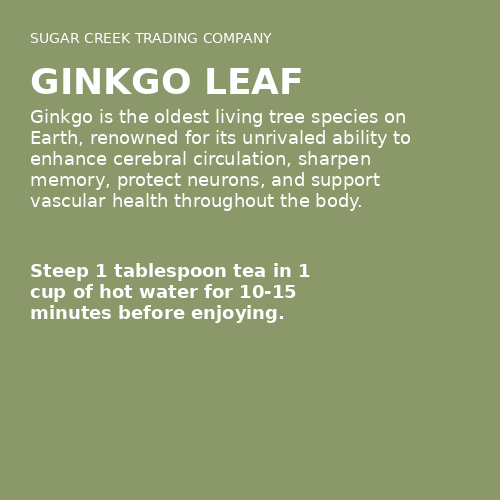 Ginkgo Leaf