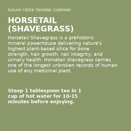 Horsetail (shavegrass)