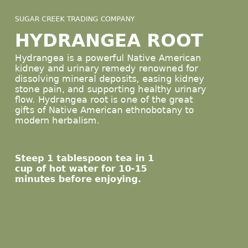 Hydrangea Root
